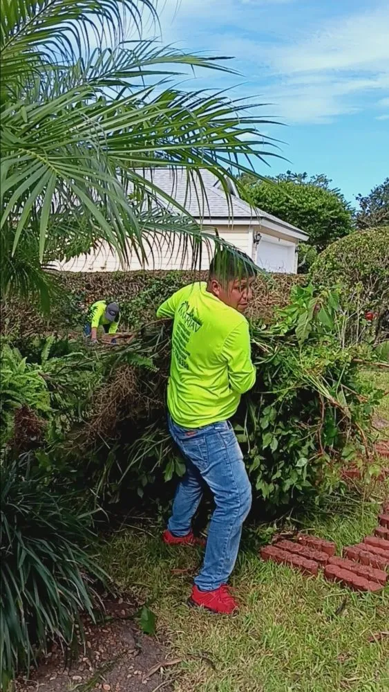 Reliable yard maintenance for year-round maintenance in Orlando, FL by Marjav Landscaping