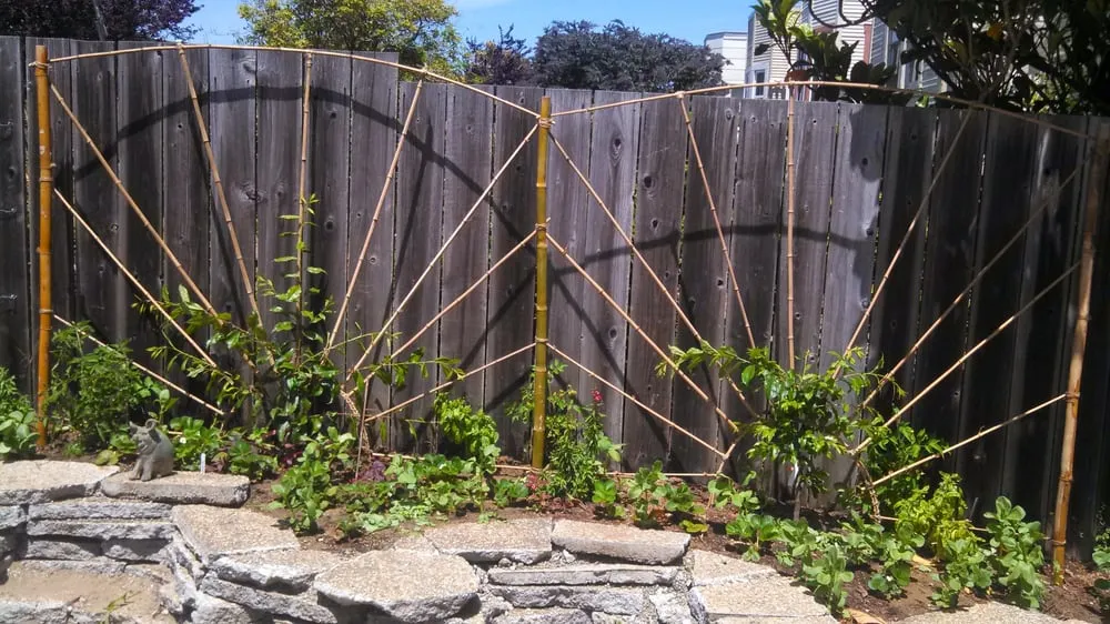 Expert landscape design in Ojai, CA - Mark Abraham