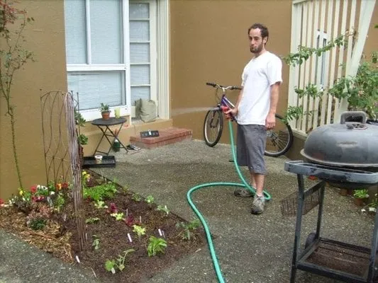 Expert yard maintenance experts serving Ojai, CA - Mark Abraham