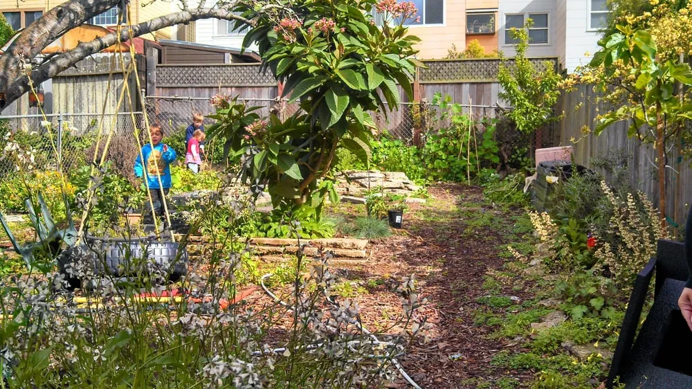 Custom lawn mowing service in Ojai, CA by Mark Abraham