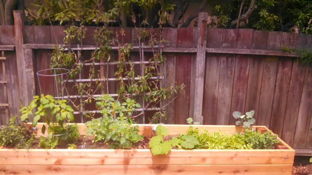 Top-rated lawn mowing service for outdoor upgrades across Ojai, CA - Mark Abraham