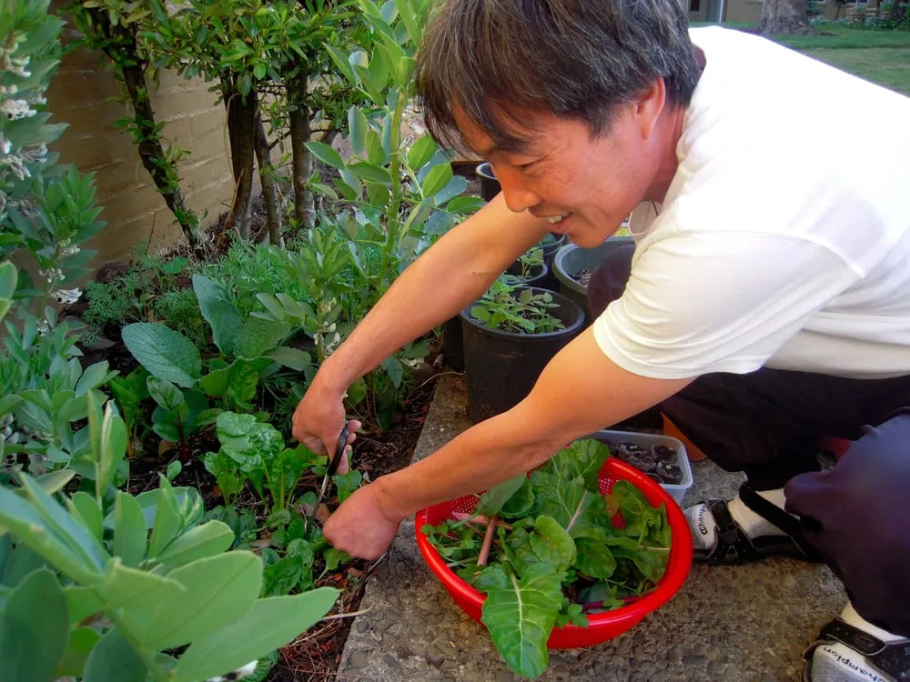 Trusted outdoor landscaping for outdoor upgrades across Ojai, CA - Mark Abraham