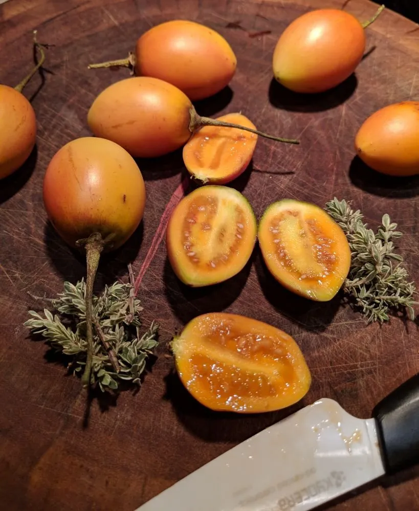 Professional landscaping services near you in Ojai, CA by Mark Abraham