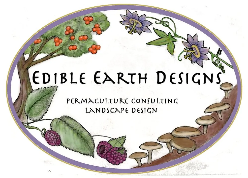 Affordable lawn care service for year-round maintenance in Ojai, CA by Mark Abraham