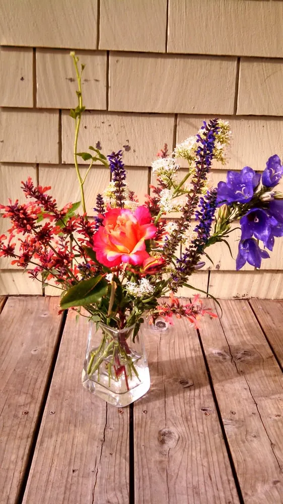 Expert landscaping services near you across Ojai, CA - Mark Abraham