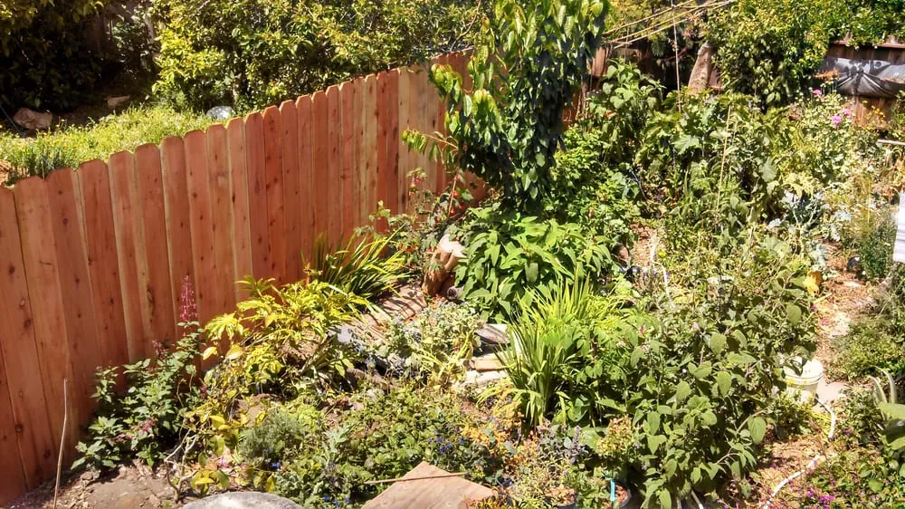 Reliable yard cleanup service with custom design in Ojai, CA by Mark Abraham