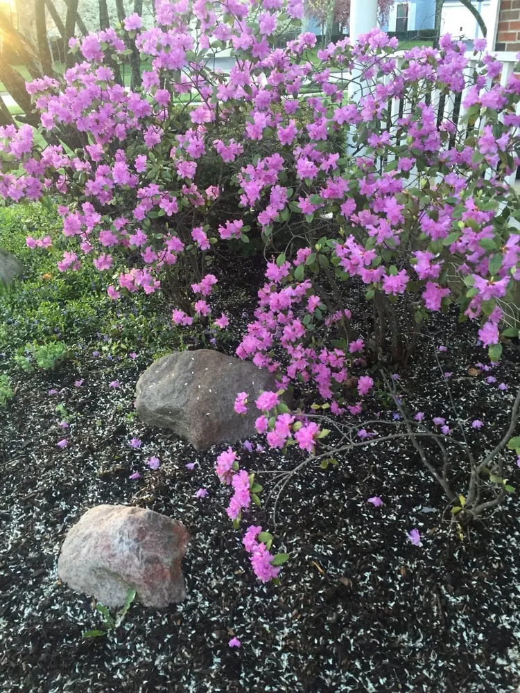 Reliable landscape design for year-round maintenance in Port Barrington, IL by Mark Goebel Enterprises