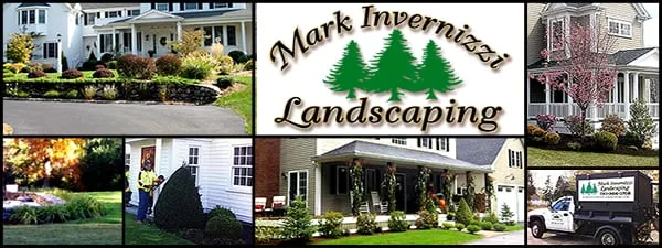 Mark Invernizzi Landscaping