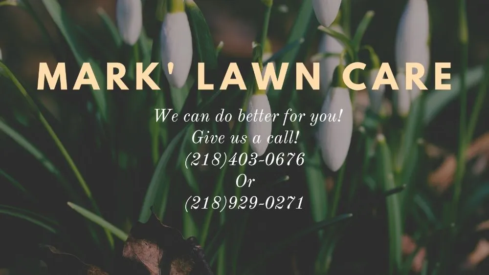 Professional outdoor landscaping in Hibbing, MN - Mark Lawn Care