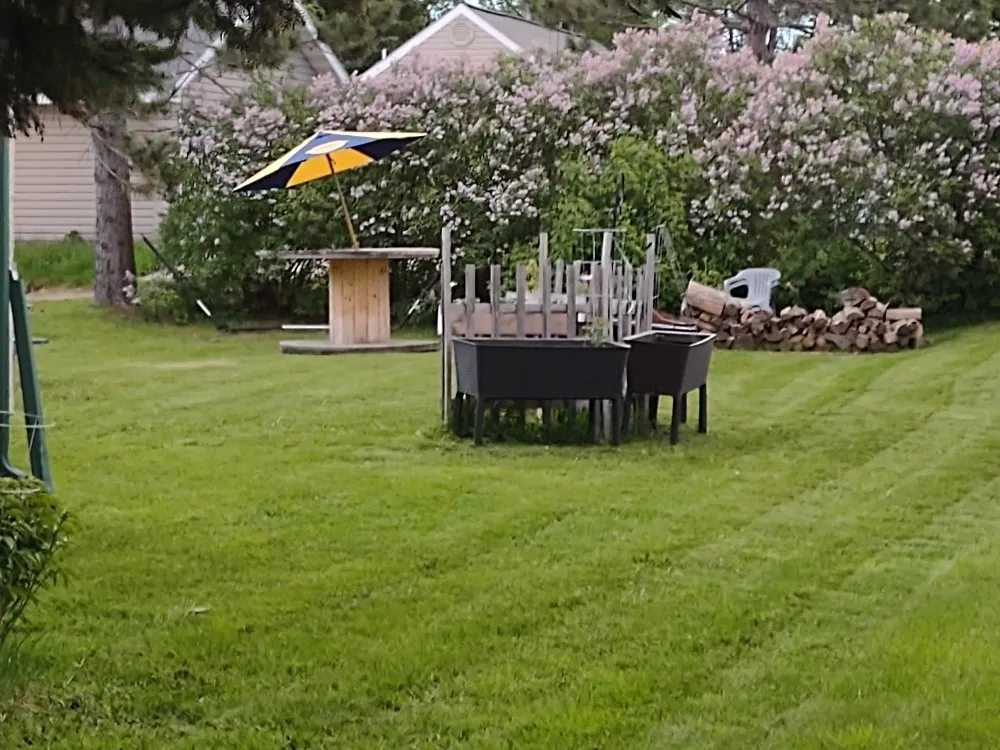 Top-rated yard cleanup service in Hibbing, MN by Mark Lawn Care