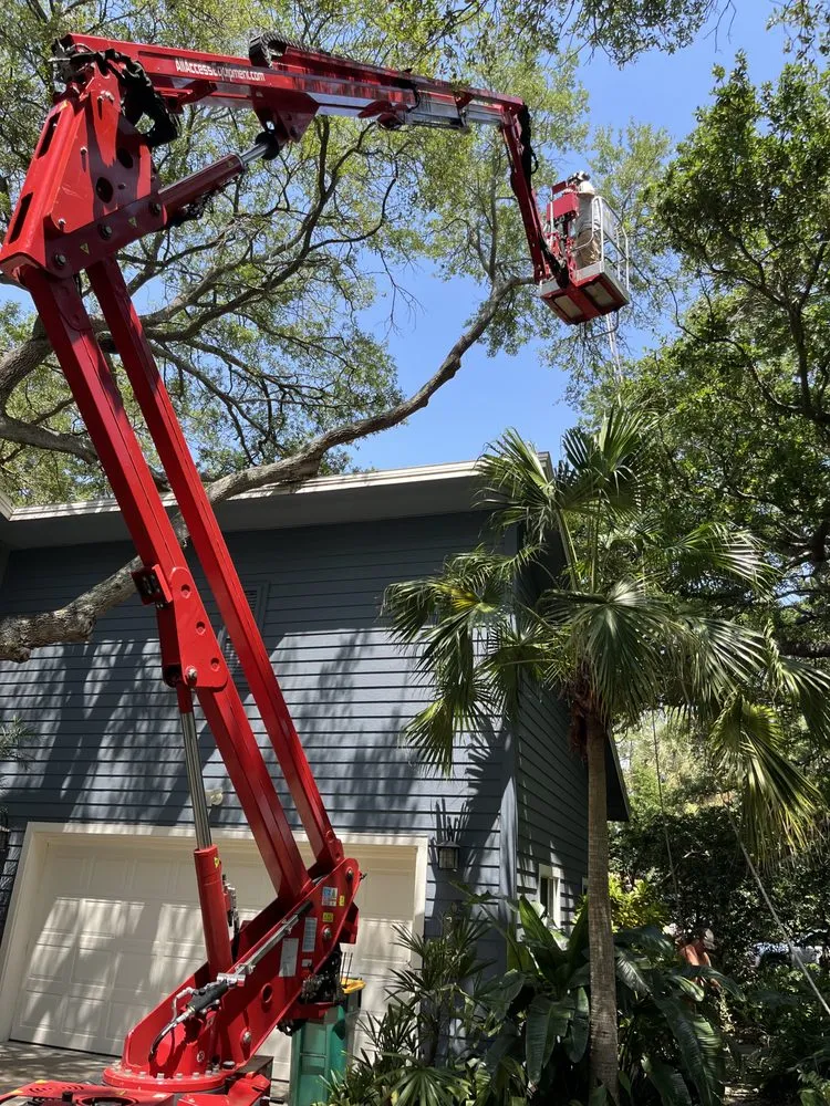 Affordable yard maintenance experts serving St. Petersburg, FL - Mark Michaels Tree Service
