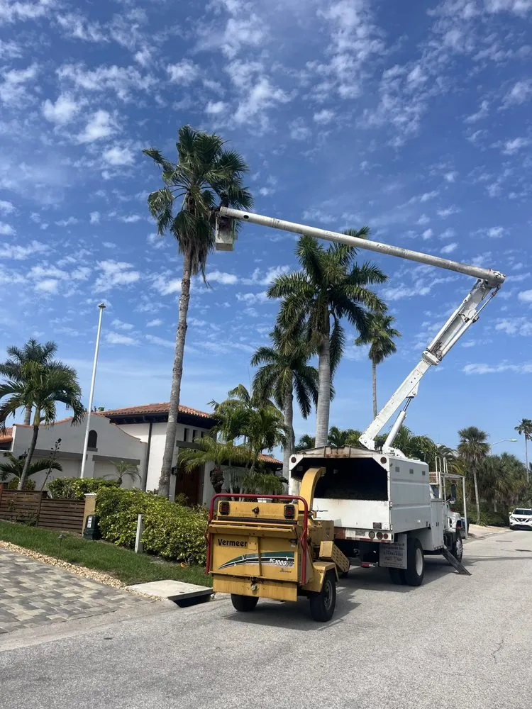 Custom residential landscaping in St. Petersburg, FL by Mark Michaels Tree Service