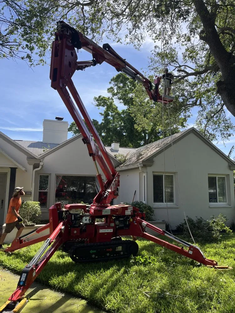 Affordable yard maintenance near you in St. Petersburg, FL by Mark Michaels Tree Service