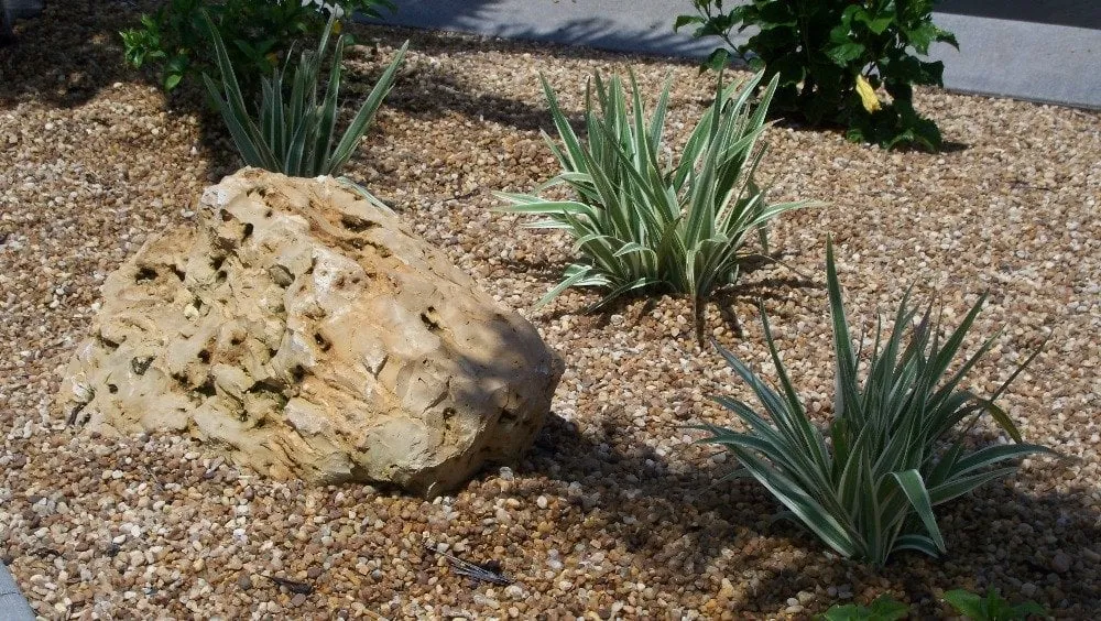 Professional landscape design in Cape Coral, FL by Mark of Excellence Lawn & Landscape Co