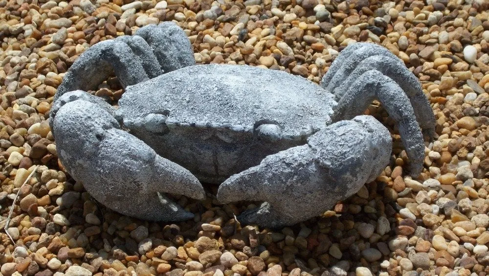 Local yard cleanup service in Cape Coral, FL by Mark of Excellence Lawn & Landscape Co