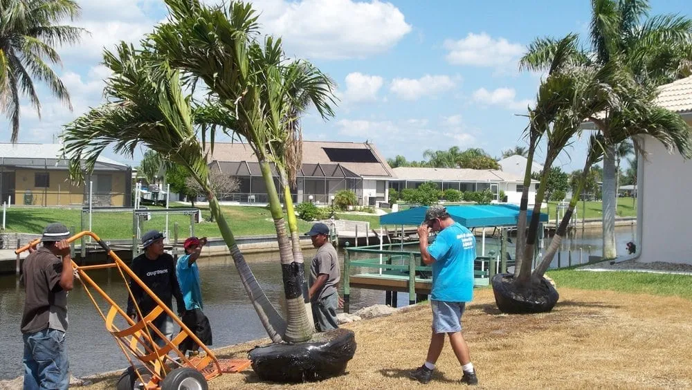 Top-rated landscape design for outdoor upgrades across Cape Coral, FL - Mark of Excellence Lawn & Landscape Co