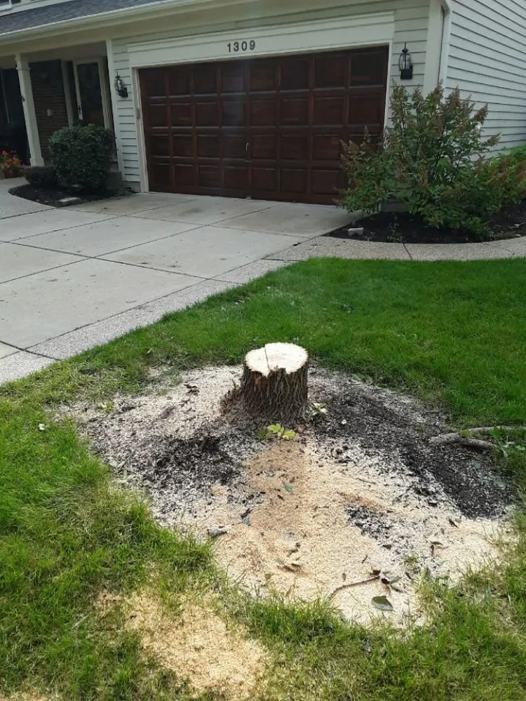 Top-rated yard cleanup service in Burlington, WI - Mark Schoenbeck Tree Service & Landscaping