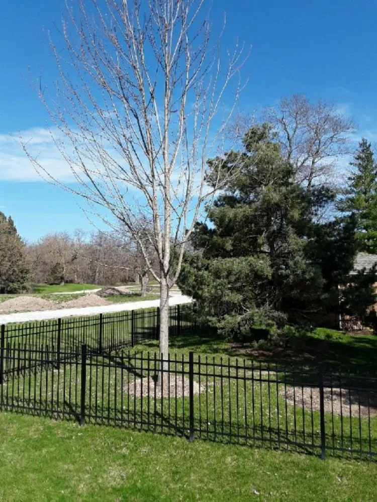 Trusted lawn mowing service in Burlington, WI by Mark Schoenbeck Tree Service & Landscaping