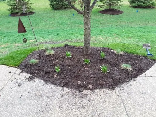 Mark Schoenbeck Tree Service & Landscaping Logo