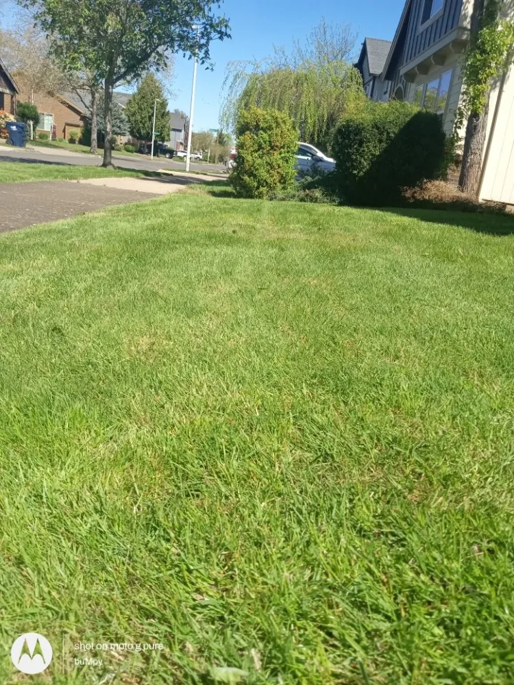 Top-rated lawn mowing service near you in Eugene, OR by Mark Snyder Lawn Mowing