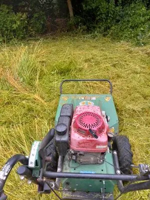 Mark Snyder Lawn Mowing Logo