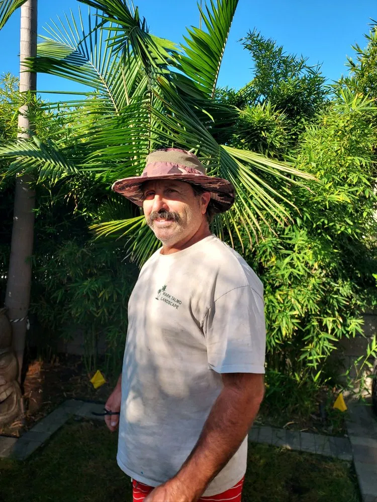 Professional landscape installation in Huntington Beach, CA by Mark Talmo Landscape