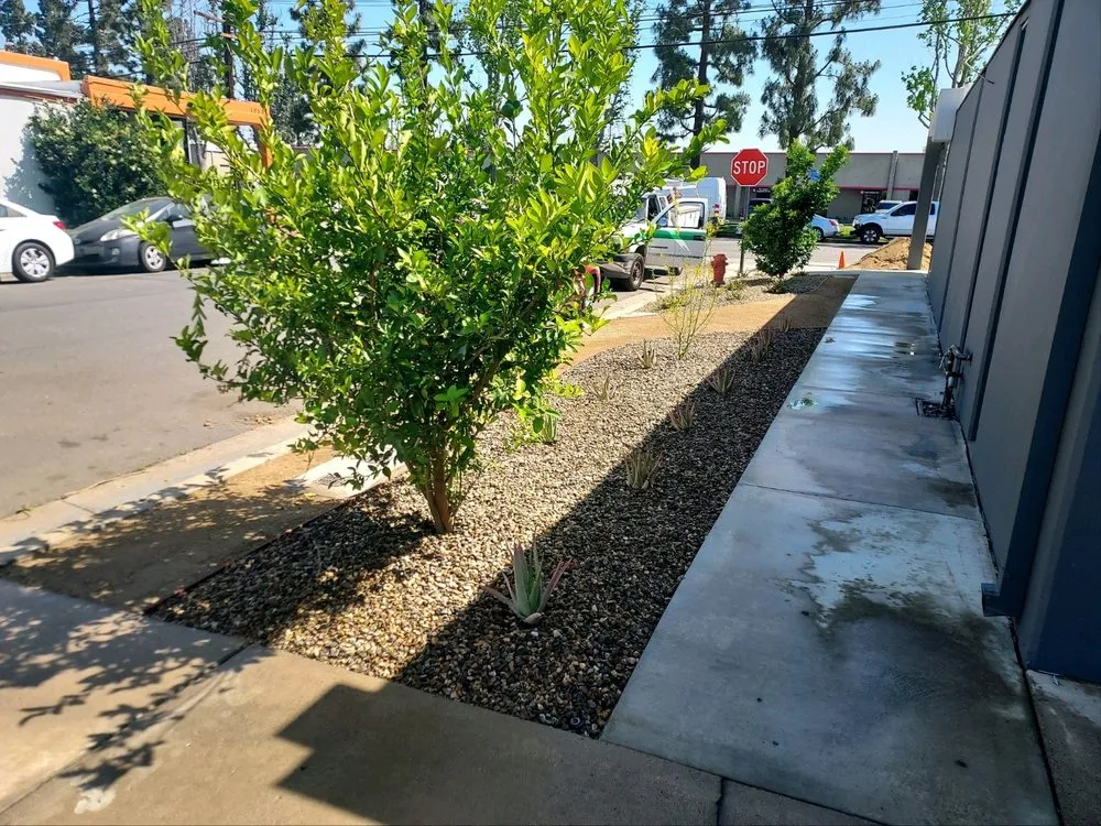 Expert lawn care service in Huntington Beach, CA by Mark Talmo Landscape