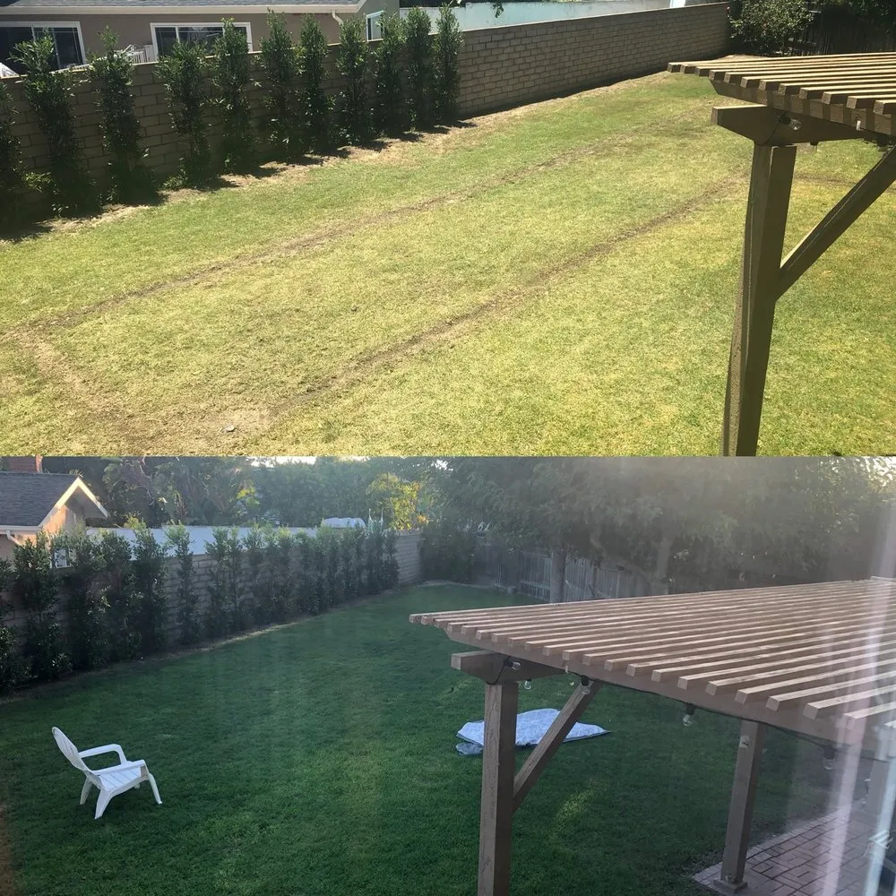 Trusted residential landscaping with custom design across Huntington Beach, CA - Mark Talmo Landscape