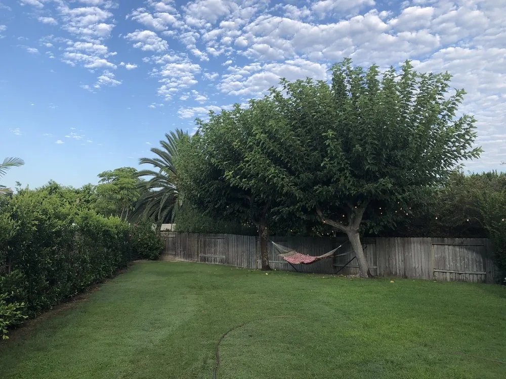 Professional landscape installation for homes across Huntington Beach, CA - Mark Talmo Landscape