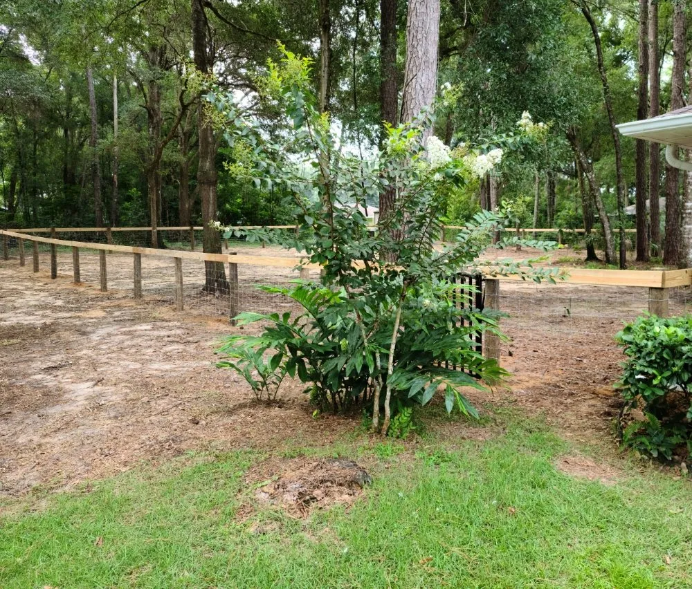 Professional yard maintenance in Ocala, FL - Mark The Handyman