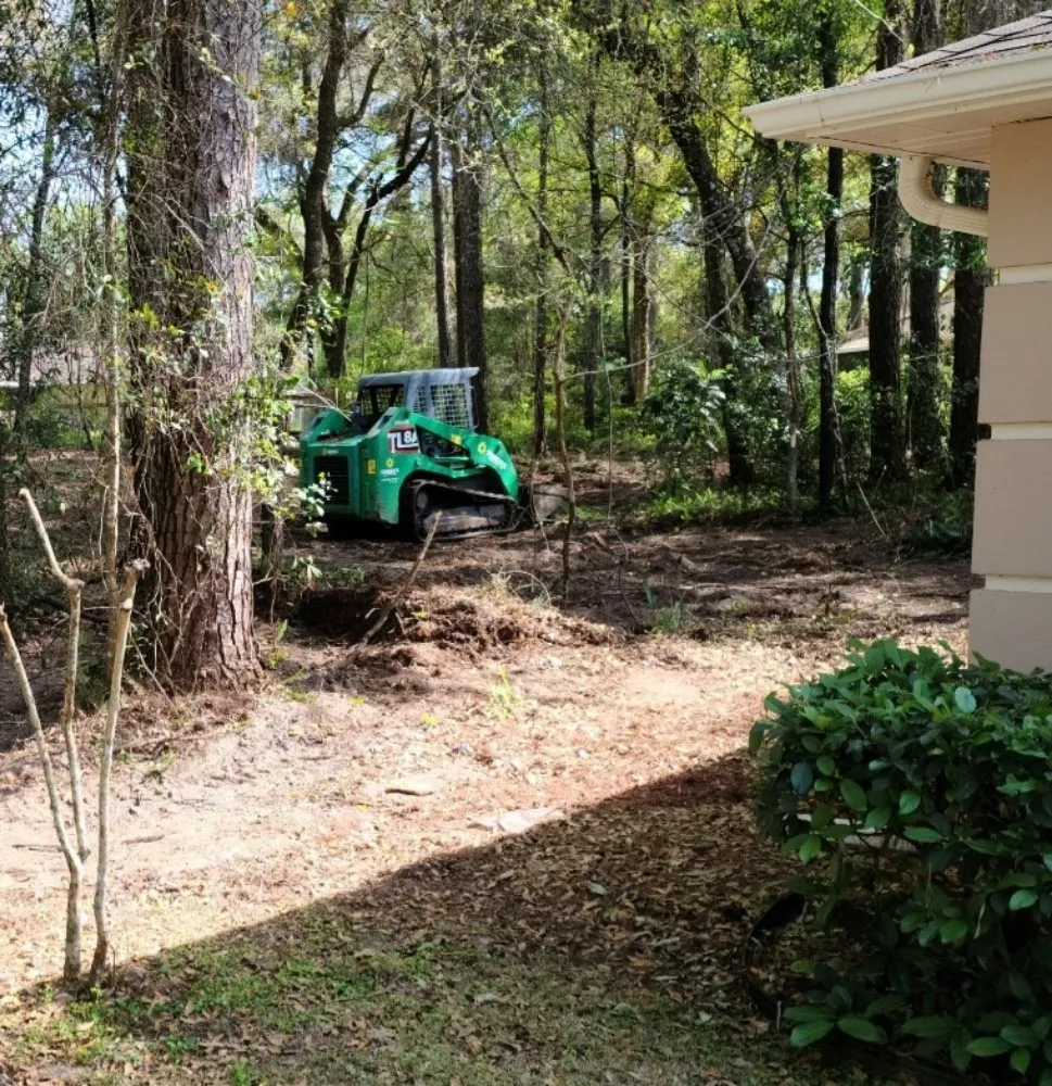 Local yard cleanup service in Ocala, FL - Mark The Handyman