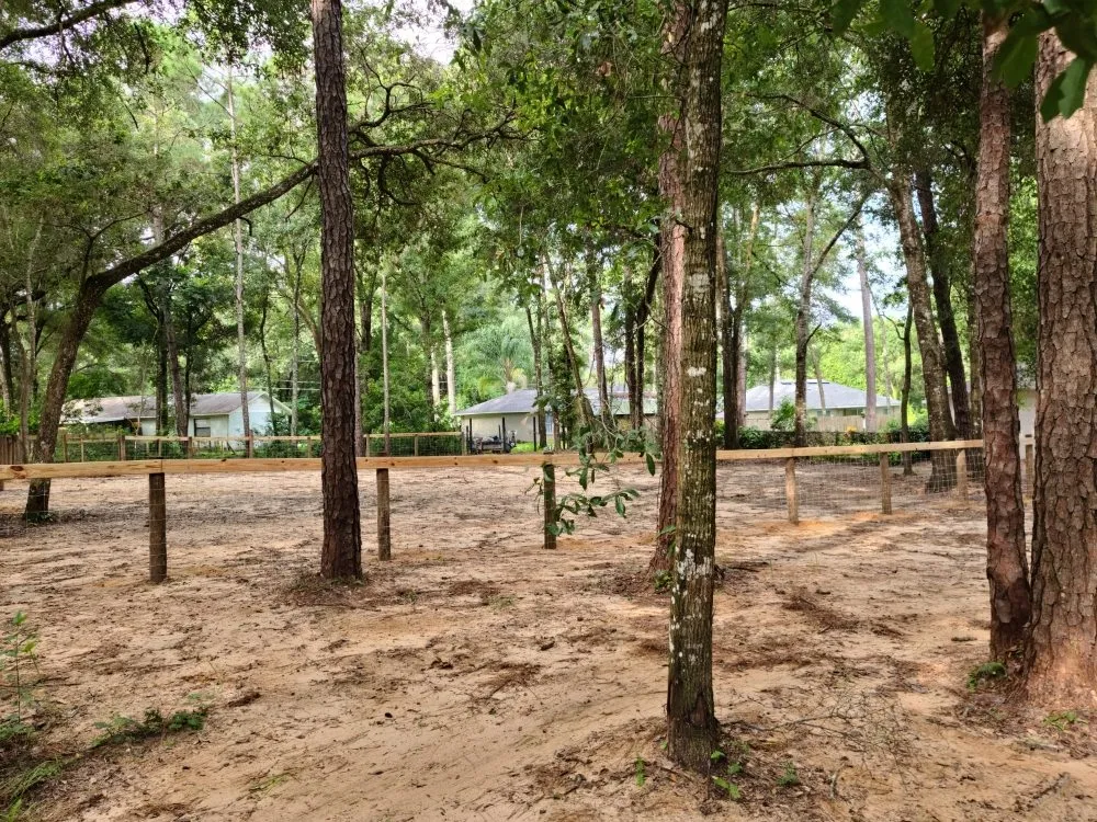 Custom landscape design in Ocala, FL by Mark The Handyman