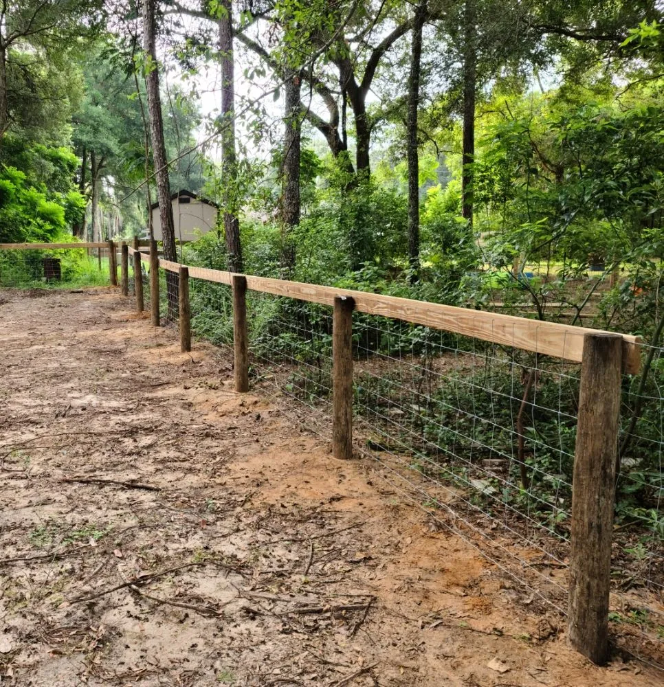 Expert lawn mowing service experts serving Ocala, FL - Mark The Handyman