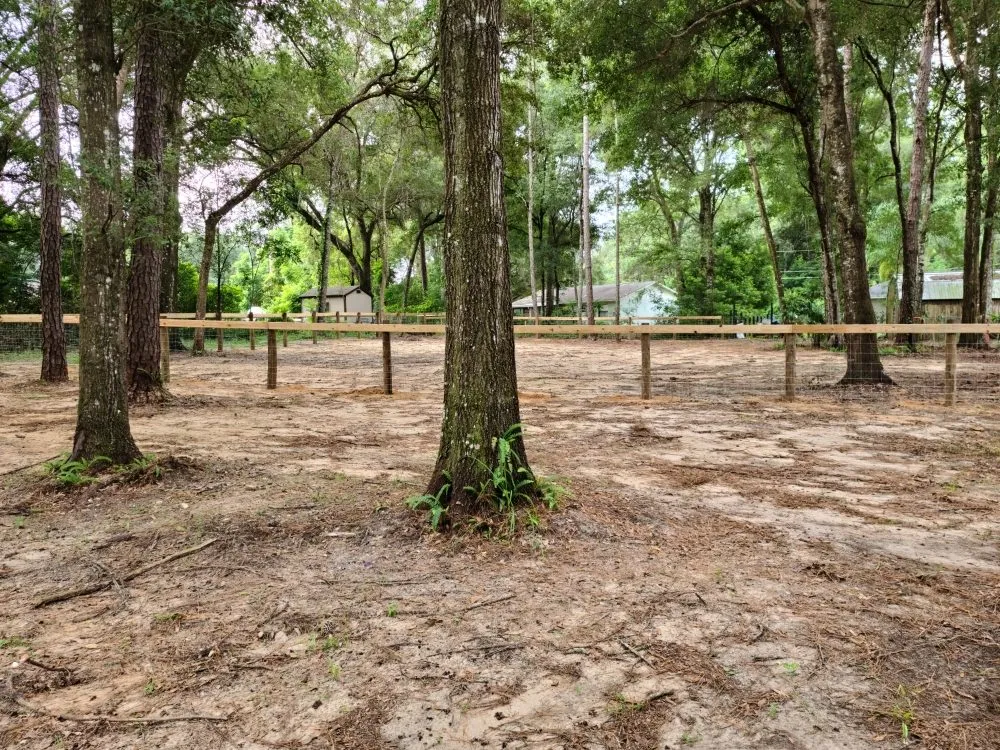 Local yard cleanup service experts serving Ocala, FL - Mark The Handyman