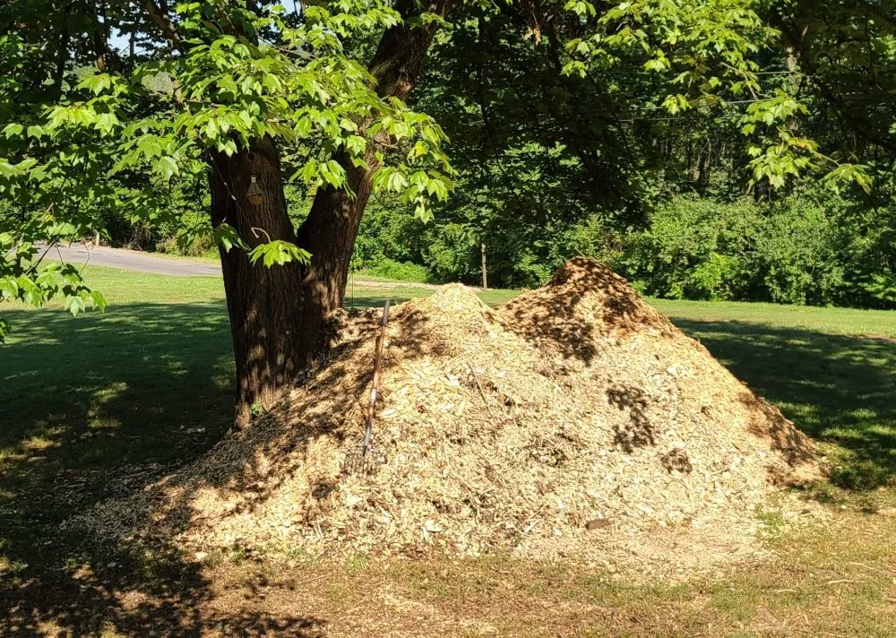 Local garden landscaping experts serving Ocala, FL - Mark The Handyman