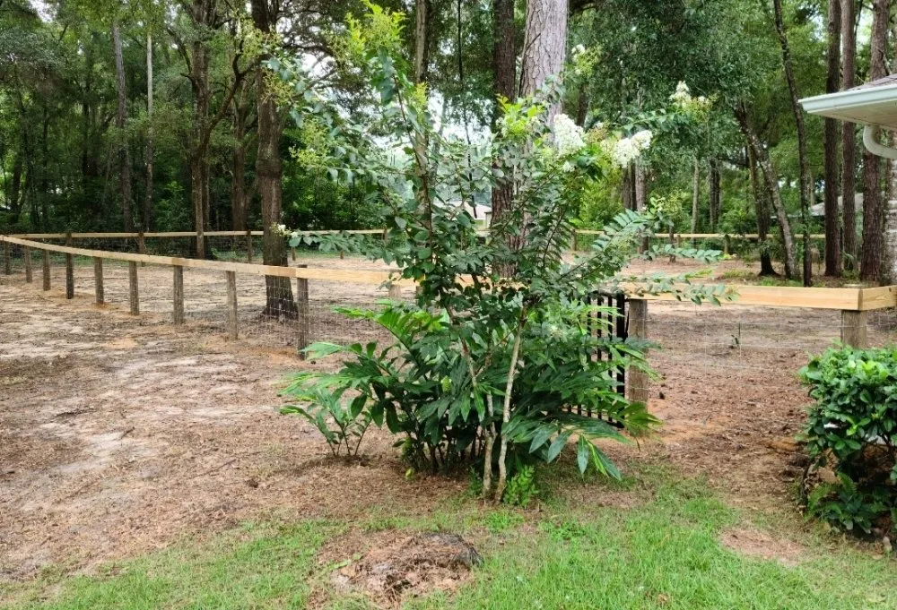 Reliable outdoor landscaping for outdoor upgrades across Ocala, FL - Mark The Handyman