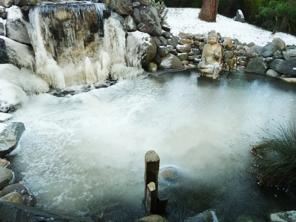 Professional outdoor landscaping in Puyallup, WA - Mark The Pond Guy