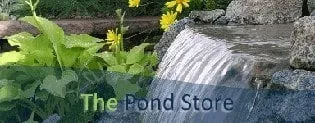 Professional garden landscaping in Puyallup, WA by Mark The Pond Guy