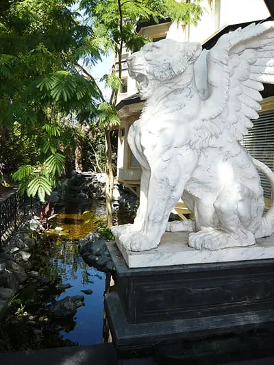 Local outdoor landscaping in Puyallup, WA by Mark The Pond Guy