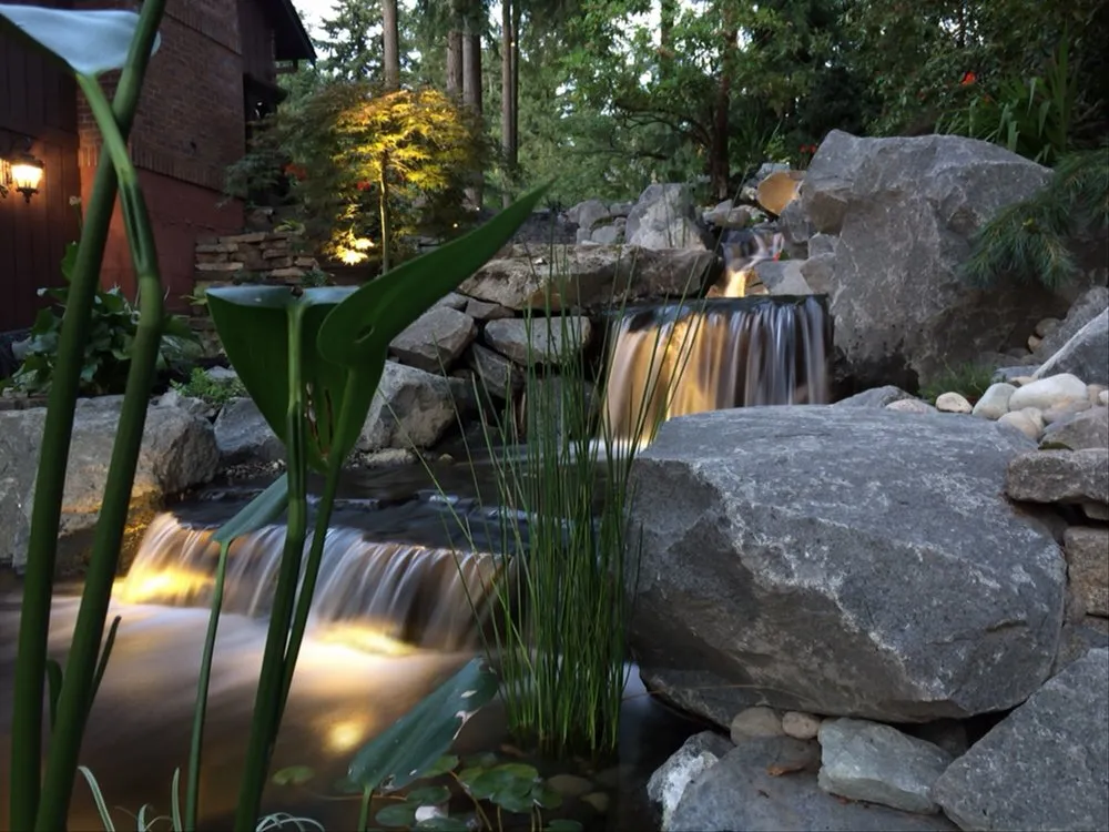 Custom lawn care service experts serving Puyallup, WA - Mark The Pond Guy