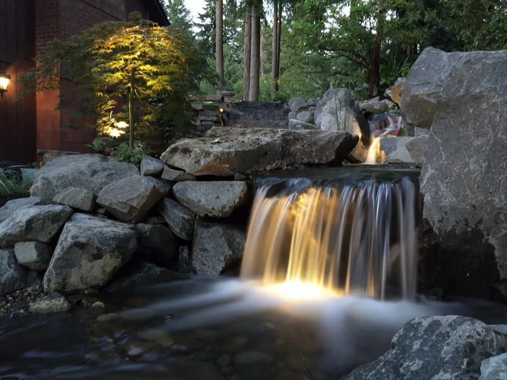 Professional yard cleanup service for year-round maintenance in Puyallup, WA by Mark The Pond Guy