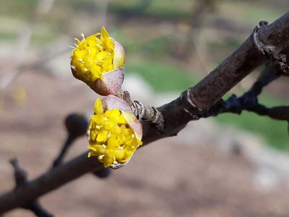 Reliable landscape design experts serving West Chester, OH - Mark Webber's Landscaping Company