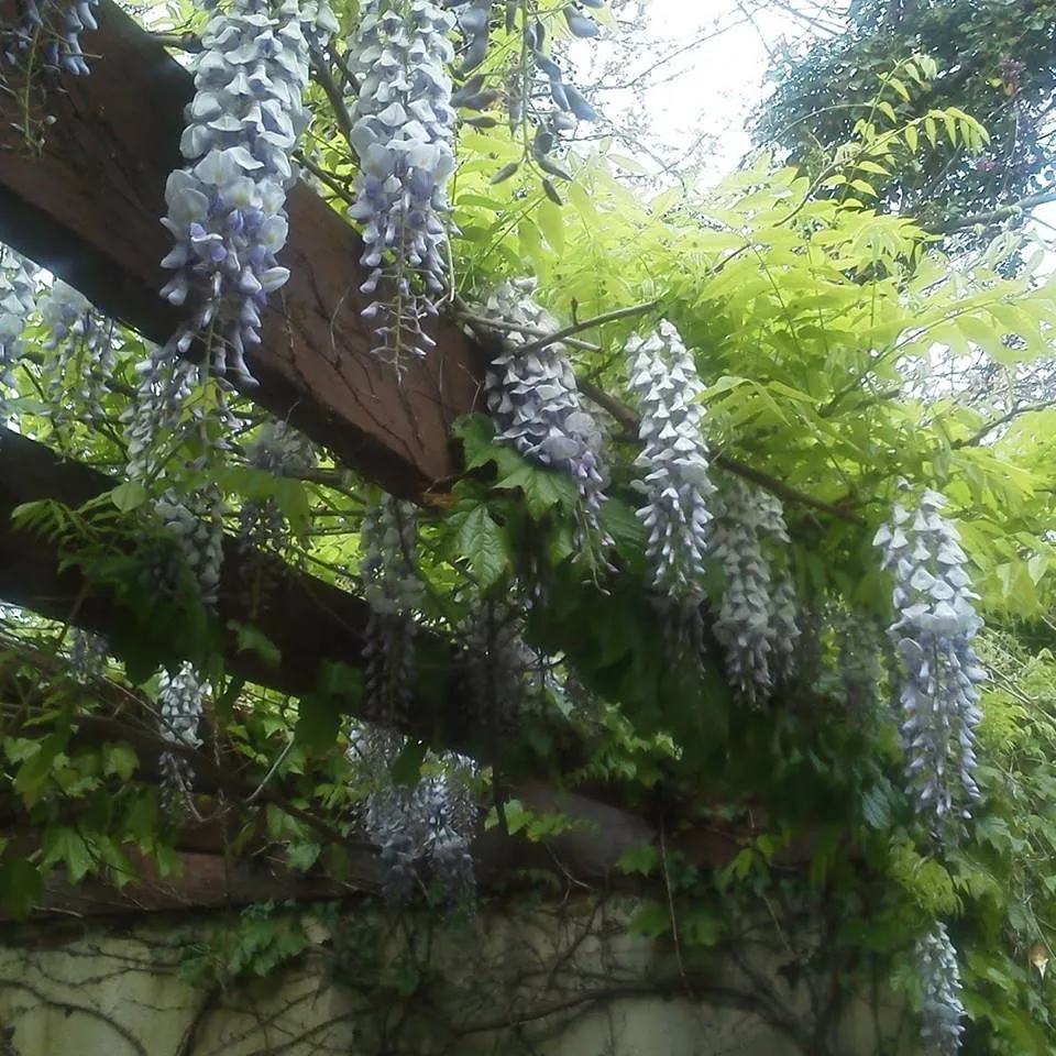 Reliable landscape design experts serving West Chester, OH - Mark Webber's Landscaping Company