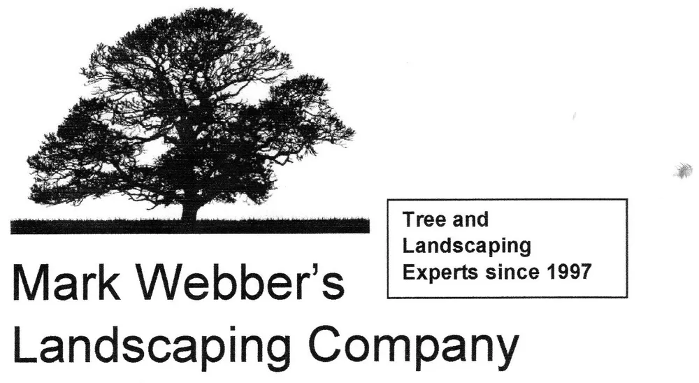 Trusted yard cleanup service for residential properties in West Chester, OH by Mark Webber's Landscaping Company