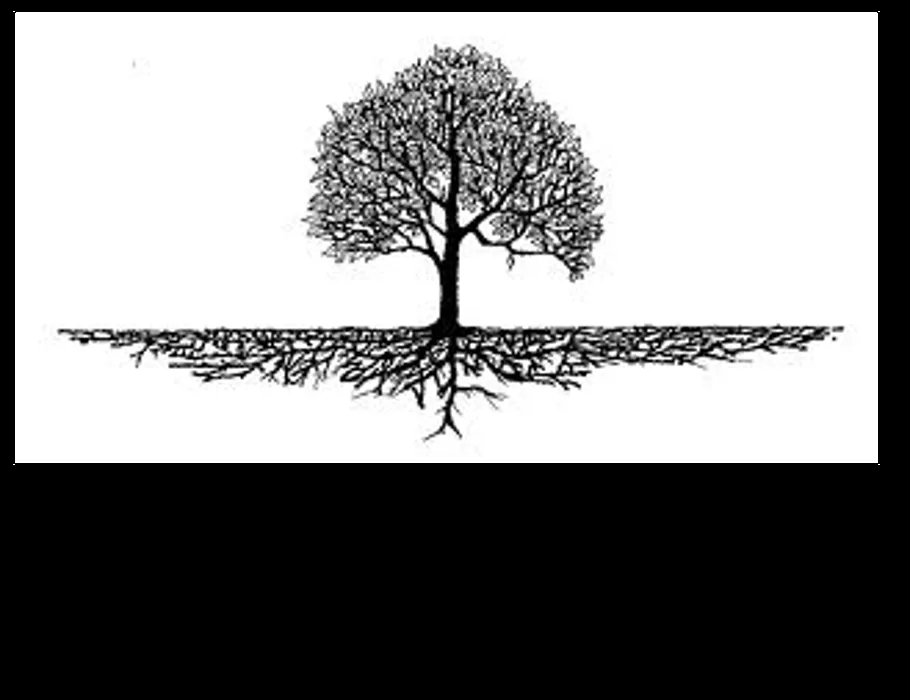 Custom lawn care service for outdoor upgrades in West Chester, OH by Mark Webber's Landscaping Company