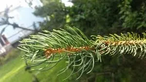 Top-rated outdoor landscaping in West Chester, OH by Mark Webber's Landscaping Company