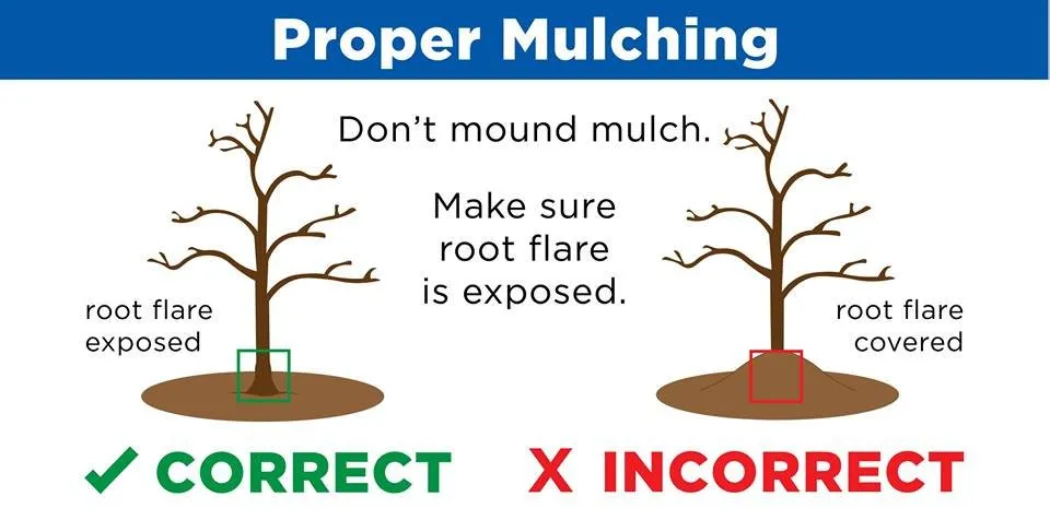 Professional outdoor landscaping experts serving West Chester, OH - Mark Webber's Landscaping Company