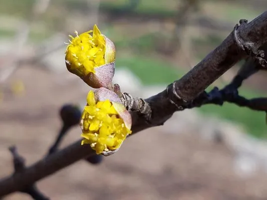 Mark Webber's Landscaping Company