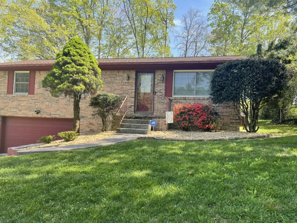 Affordable yard maintenance in Knoxville, TN by Mark William Solutions