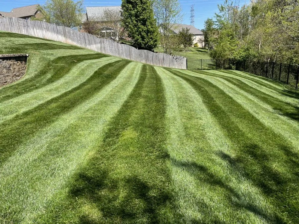 Expert yard cleanup service in Knoxville, TN by Mark William Solutions